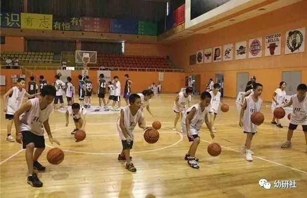  青少年篮球训练营，百名新苗开启特训